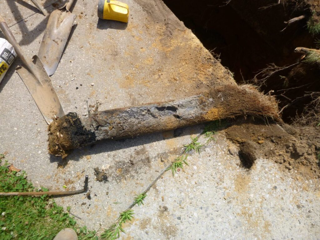 Tree Roots Lead to Sewer Replacement in Windsor Terrace Brooklyn