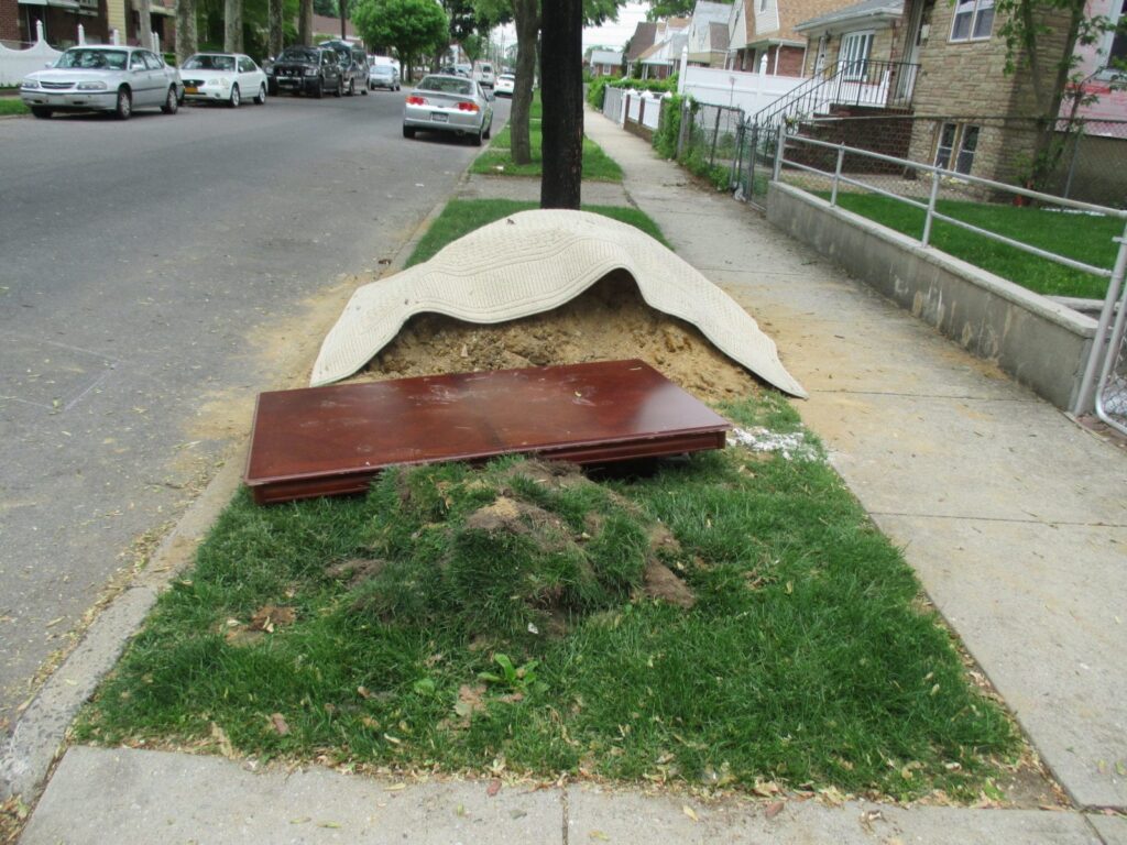 A Guide for Successfully Diagnosing & Repairing a Broken Sewer