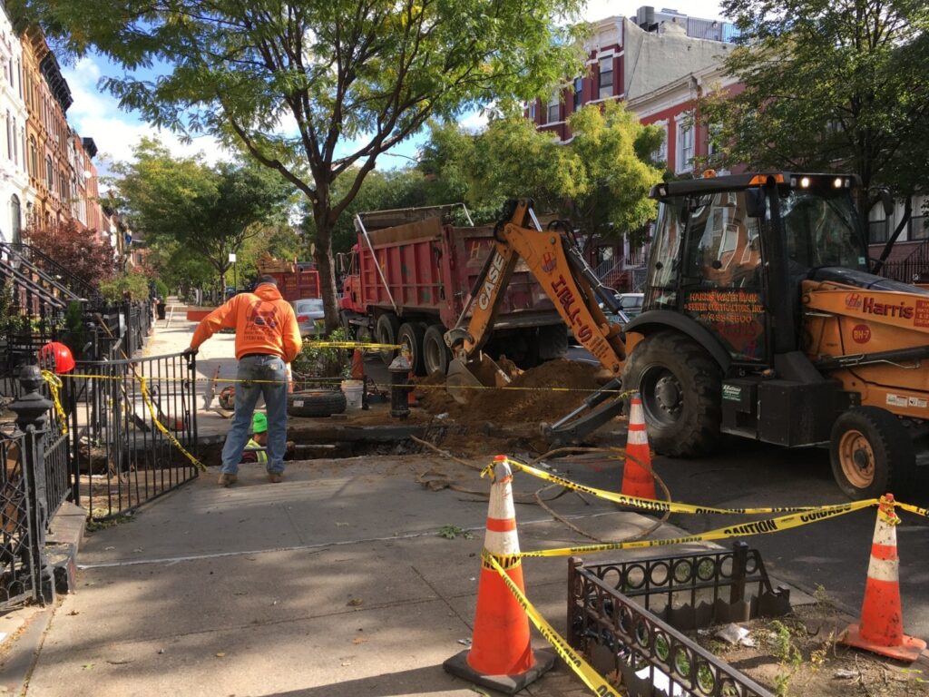 NYC Water Main & Sewer Installations Require Arborist to Protect Trees