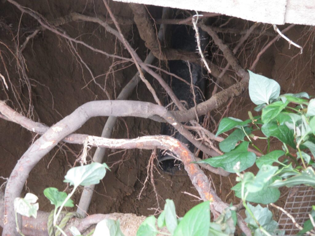 5 Facts All Homeowners Should Know About Their Water Main & Sewer Pipes