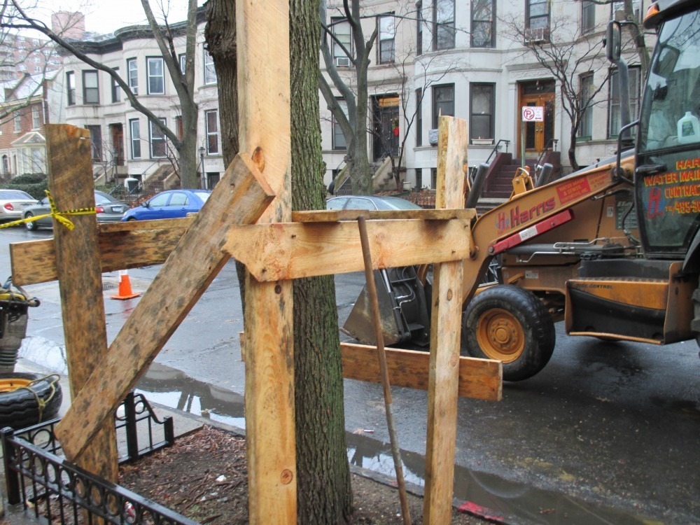 Do Water Main & Sewer Repairs Require NYC Parks Dept. Certified Arborists?
