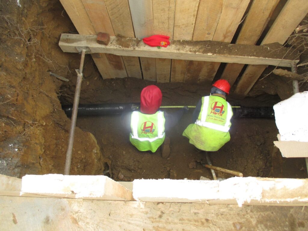 What Causes a Sewer Belly?