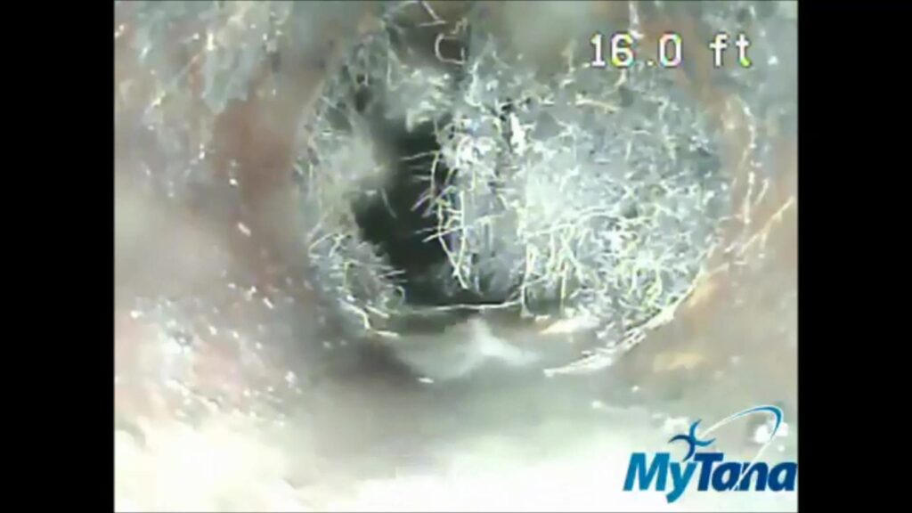 All You Need to Know about Sewer Back-Ups for Brooklyn & Queens residents