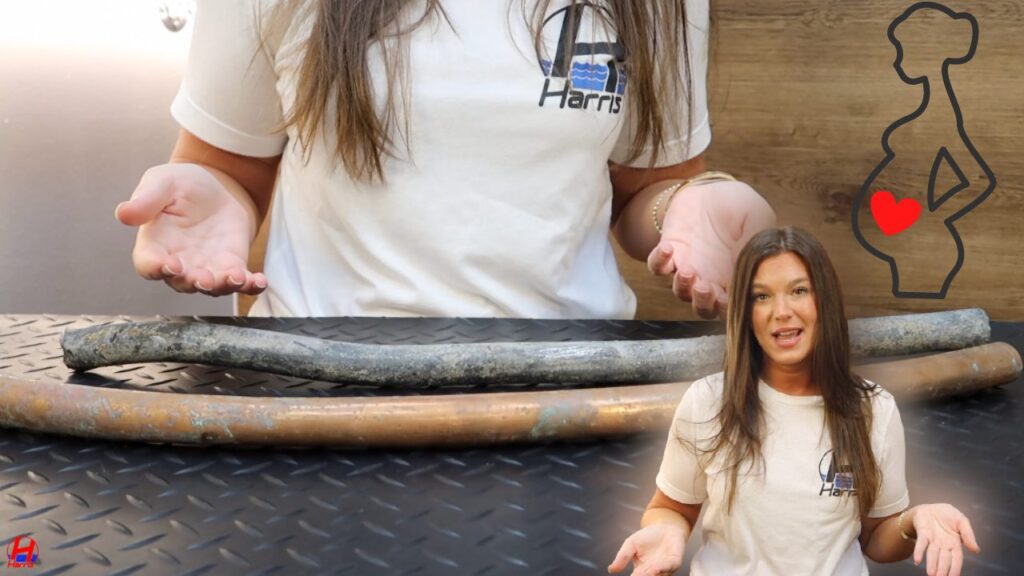 Water Main Lead Poison and Pregnancy