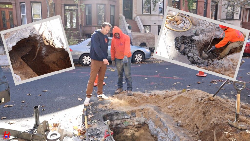 Harris Employee Profile Jackman