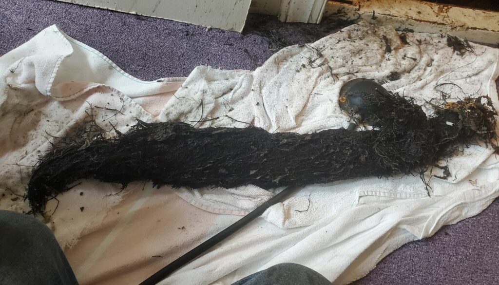 4 Ways To Remove Tree Roots From Sewer Lines