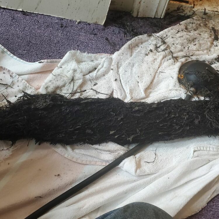 4 Ways To Remove Tree Roots From Sewer Lines