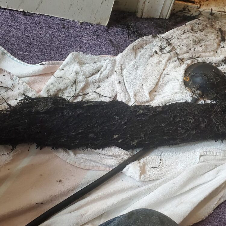 3 Ways To Prevent Tree Roots From Growing in Pipes