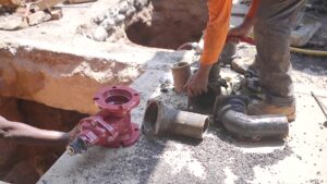 Enzyme-Based Cleaners (Non-Toxic Option)