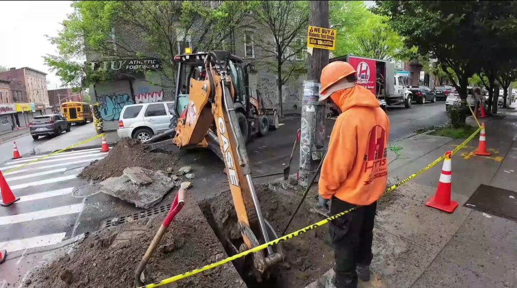 How Roots Find The Path From Soil To Joint